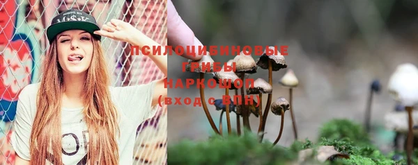 MESCALINE Каменногорск