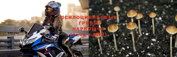 таблы Каменка