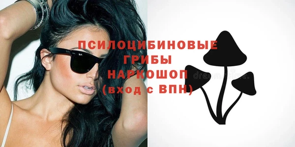 таблы Каменка